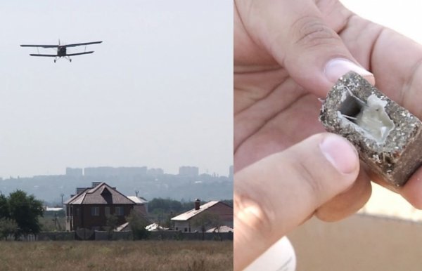 На Закарпатті з літаків розкидають вакцину для диких тварин проти сказу