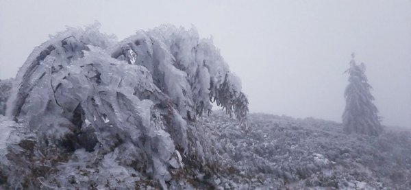 Закарпатські рятувальники рядять туристам не йти у гори через обледенілі схили