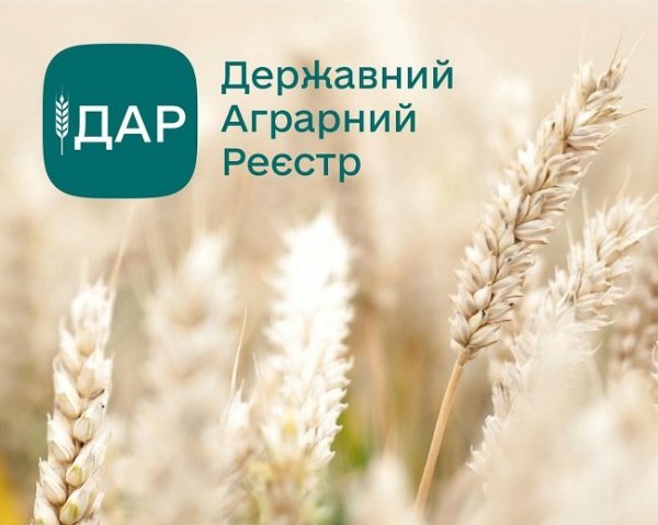 ДАР (dar.gov.ua) – це єдиний цифровий хаб для агровиробників України