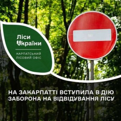 На Закарпатті заборонили відвідувати ліси, – Рада оборони області