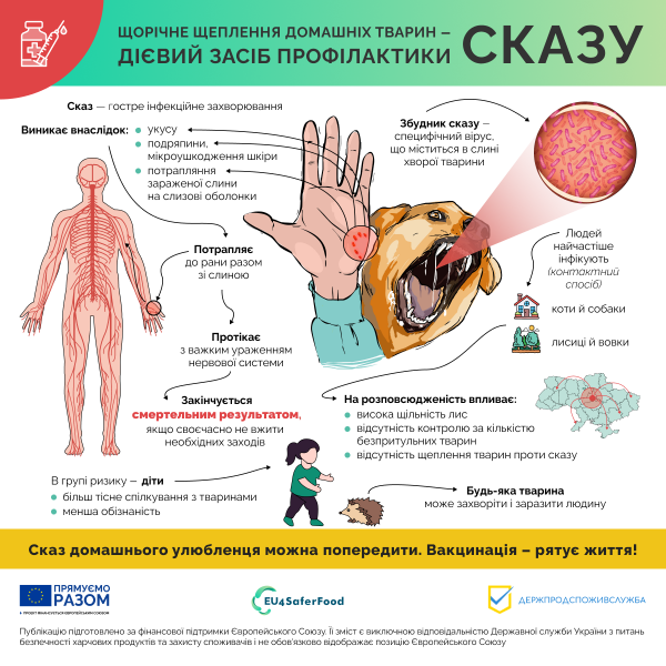 Закарпатці можуть безоплатно вакцинувати домашніх тварин від сказу