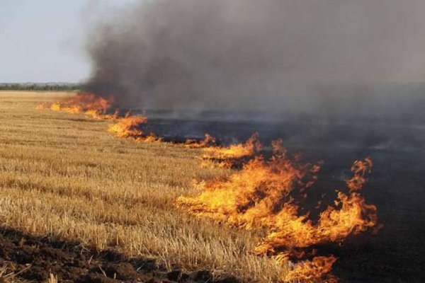 Спалювання сухого листя і трави завдає шкоди вашому здоров’ю та довкіллю.